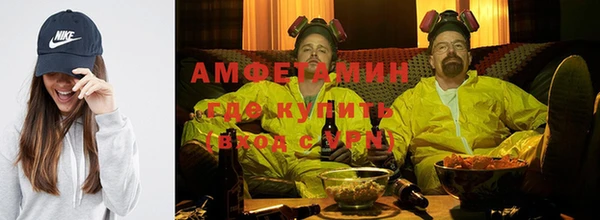прущие грибы Каменногорск