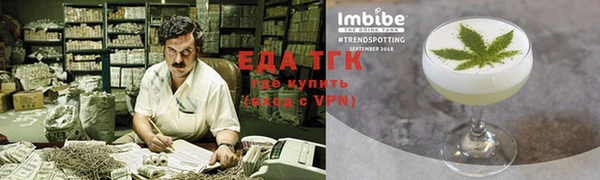 прущие грибы Каменногорск