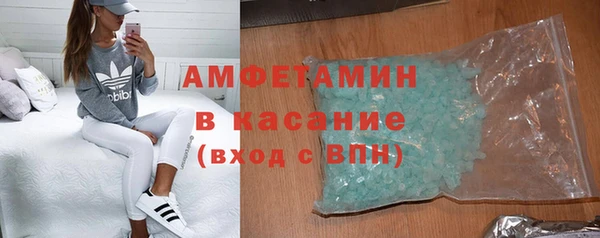 прущие грибы Каменногорск