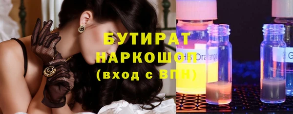 прущие грибы Каменногорск