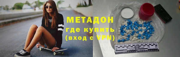 прущие грибы Каменногорск