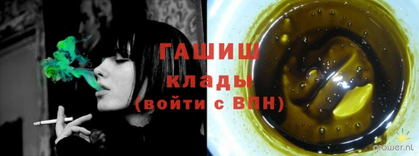 прущие грибы Каменногорск