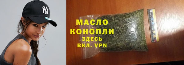прущие грибы Каменногорск