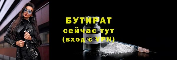 прущие грибы Каменногорск