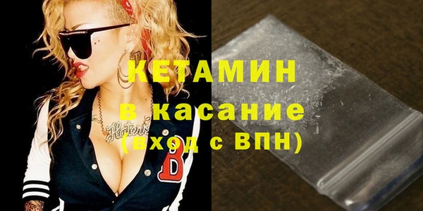 прущие грибы Каменногорск