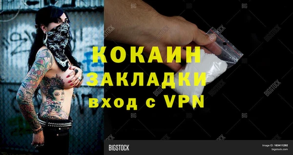 прущие грибы Каменногорск