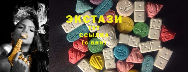 прущие грибы Каменногорск