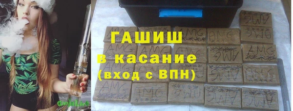 прущие грибы Каменногорск