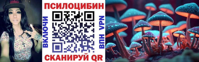 Купить где  Болгар  Псилоцибиновые грибы Magic Shrooms 